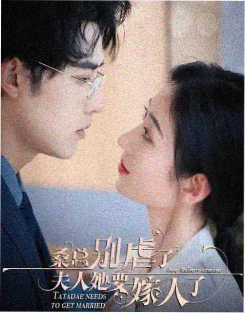 纪录片《候鸟邮路》条目封面图